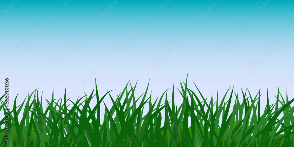 Fototapeta premium Green grass seamless border, sky background
