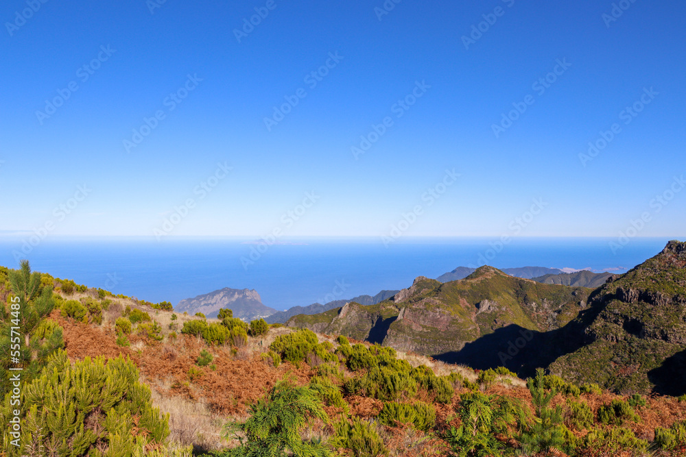 Madeira the island of flowers a part of Portugal