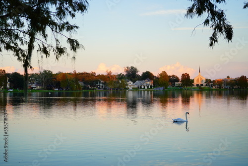 Fototapeta Naklejka Na Ścianę i Meble -  Landscape of city center and lake Morton of lakeland Florida
