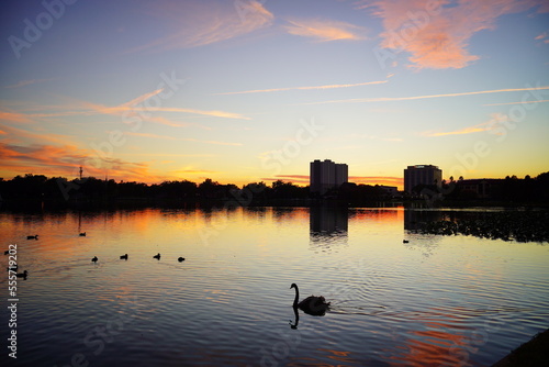 Fototapeta Naklejka Na Ścianę i Meble -  Sun set Landscape of lake Morton in city center of lakeland Florida