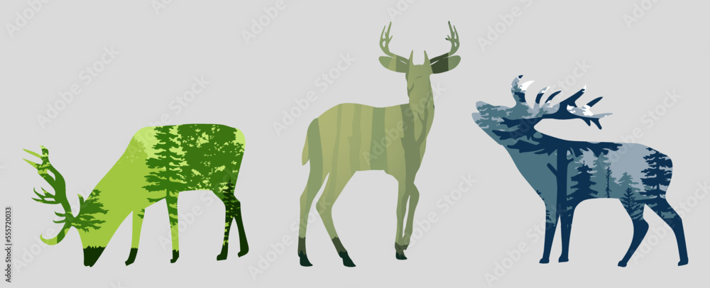 Obraz premium Three deer silhouette with spruce forest
