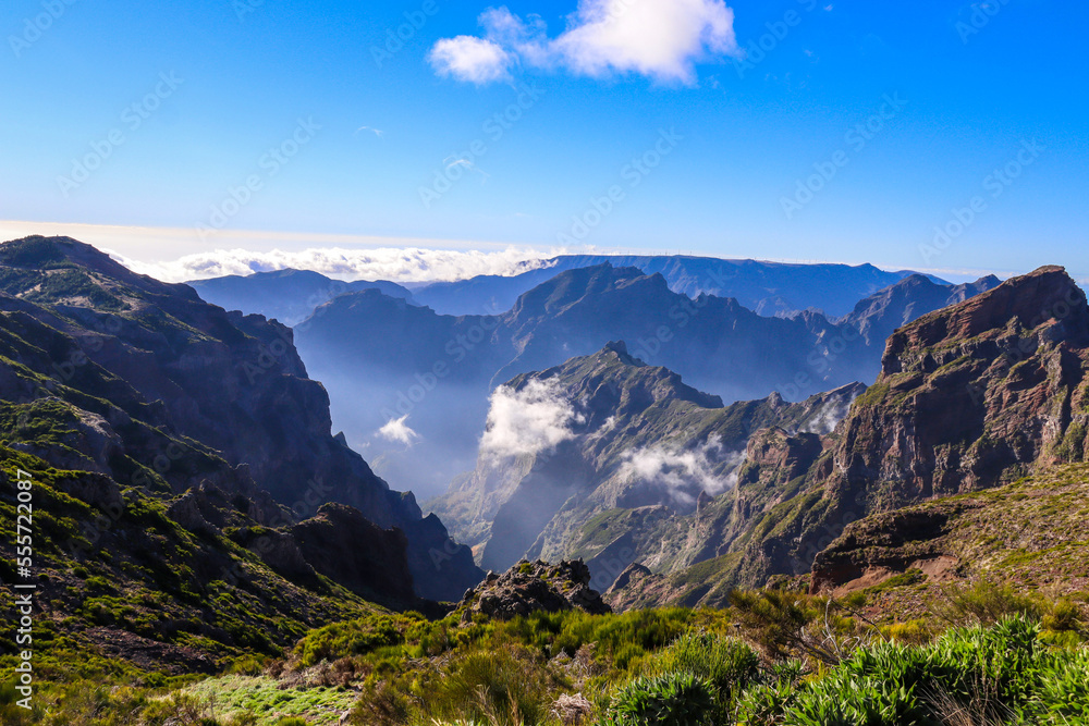 Naklejka premium Madeira the island of flowers a part of Portugal