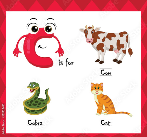 Letter c vector  alphabet c for cow  cobra  cat animals  english alphabets learn concept.