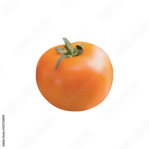 Realistic ripe tomato vector design