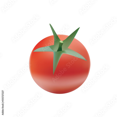 Realistic ripe tomato vector design