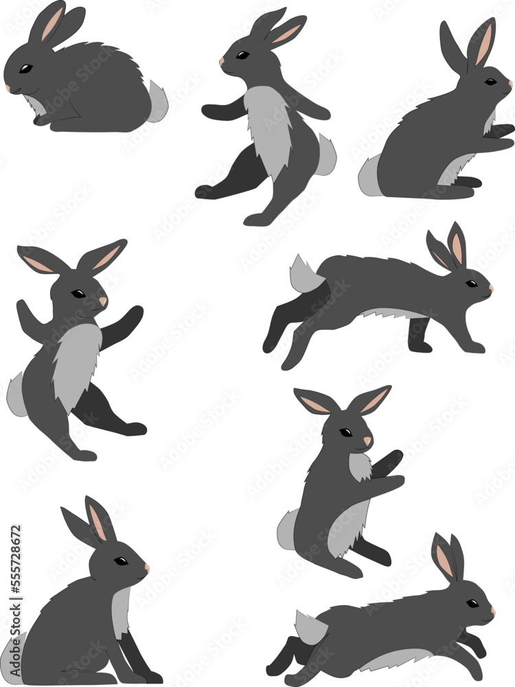 Obraz premium Set of colored dark grey rabbits in different poses isolated on white background
