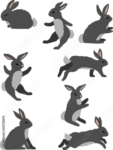 Set of colored dark grey rabbits in different poses isolated on white background