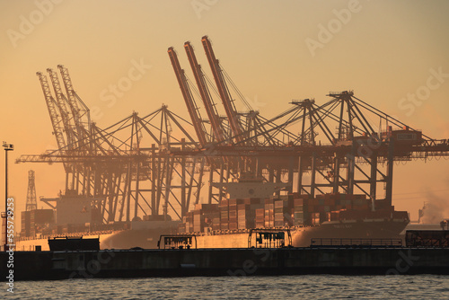 Wintermorgen im Hamburger Hafen; Blick vom Altonaer Fischmarkt über die Norderelbe zum Container Terminal Tollerort