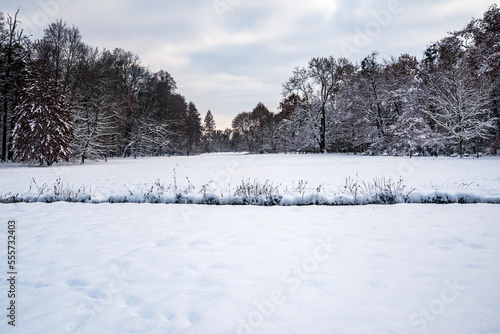 Public park with snow covered meadow and frozen trees