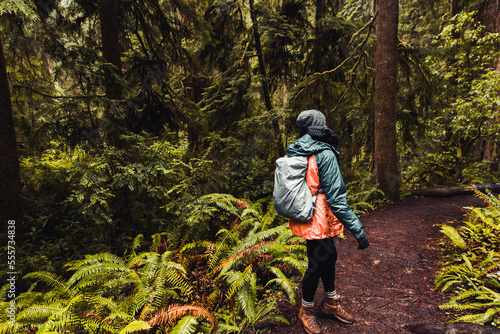 Hiking Through The Rainy Forest 