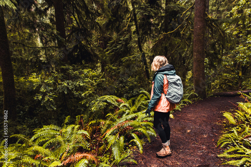 Hiking Through The Rainy Forest 