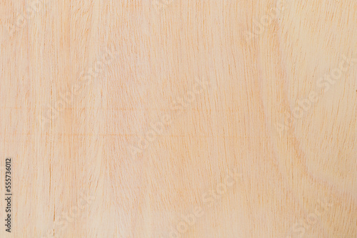 Light rough textured cut surface of an African tree. Wood background or blank for design