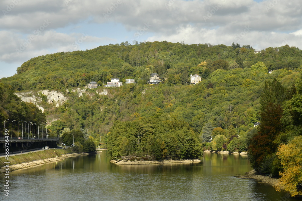 Fototapeta premium L'une des iles à la végétation sauvage au milieu de la Meuse dans un cadre de paysage bucolique à Lustin à 10 km au sud de Namur 