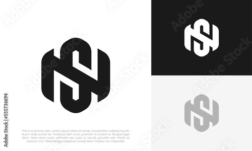 letter SN or NS initial logo design vector  © DevArt