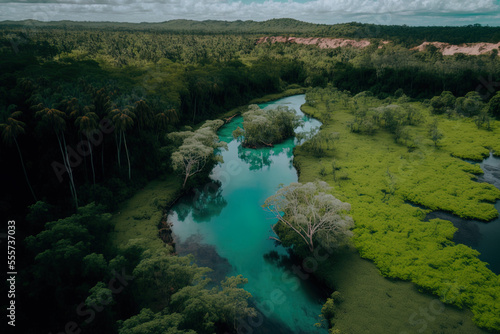a vast  green grass forest with tall trees and a wide  blue  bendy river running through the forest in the Philippine island of Bohol  as seen from a drone. Generative AI