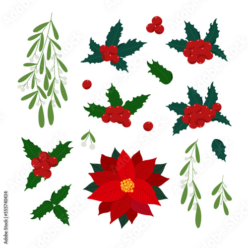 Christmas plants set holly, poinsettia flower, mistletoe, green leaves, berries clipart for home decor, festive holiday ornament, vector illustration for seasonal greeting card, invitation, poster