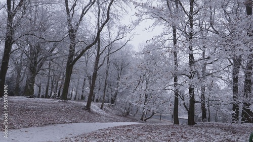 Winter scenery -frost on the trees in a park