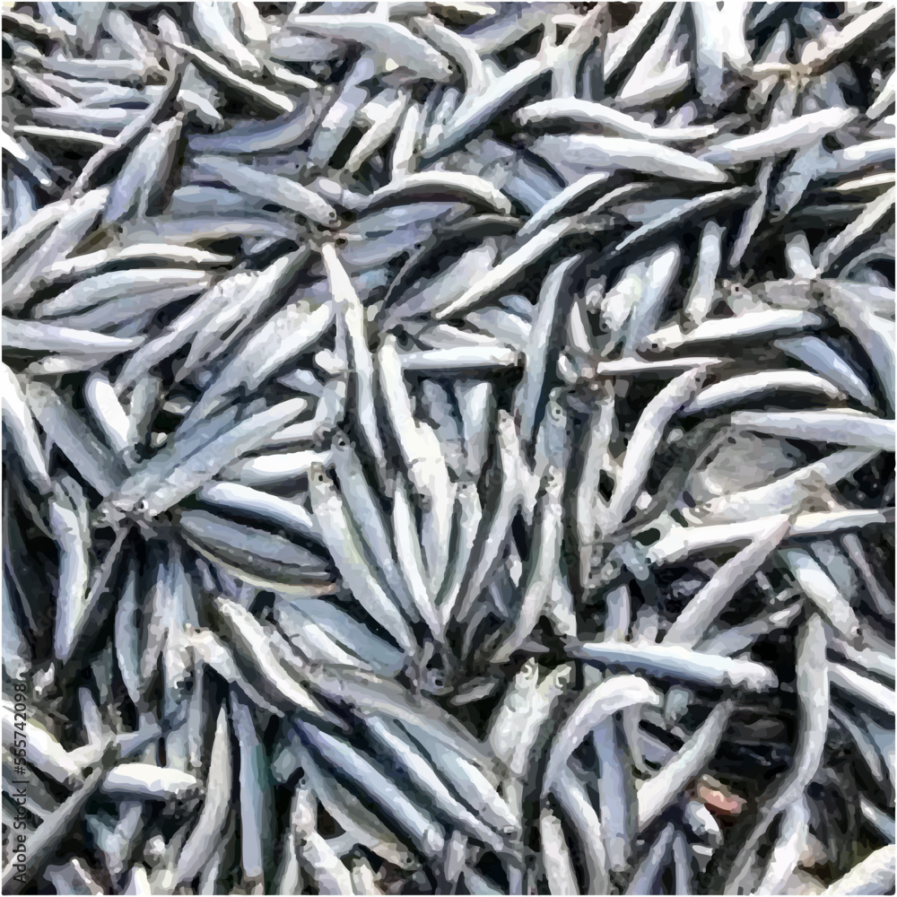 A lot of small fish A lot of small fish
