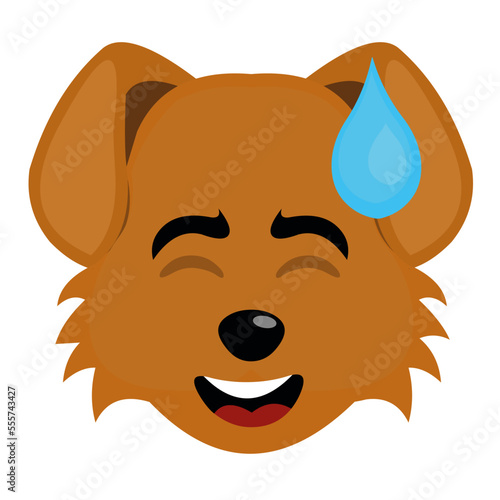 vector illustration of the face of a cartoon dog with an expression of shame and a drop of sweat on the head