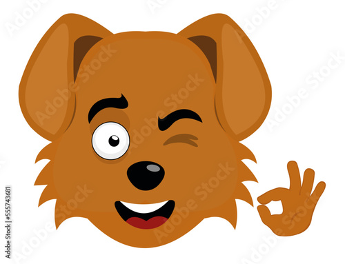 vector illustration of the face of a cartoon dog, with a happy expression, winking and making a gesture with his hand of ok or perfect