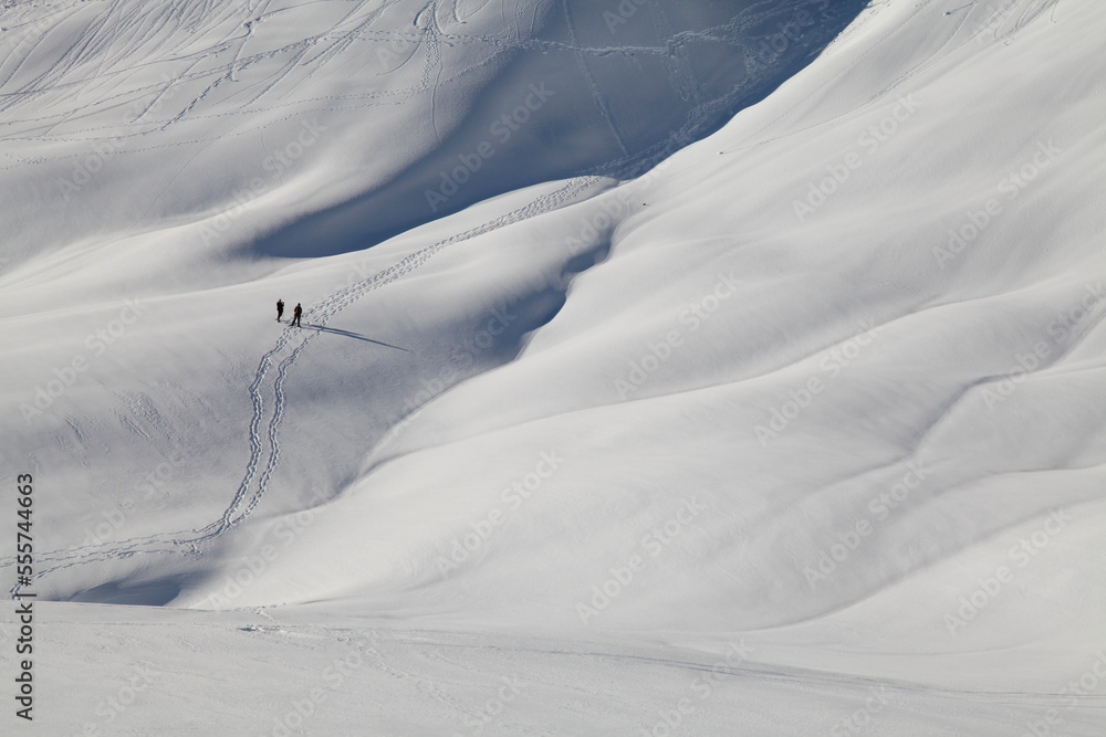 Two people on snowshoes at the Paradise area of Mt. Rainier National Park in Washington state in winter
Two people on snowshoes at the Paradise area of Mt. Rainier National Park in Washington state in winter