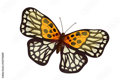 Colorful butterfly, winged insect.Vector graphics.