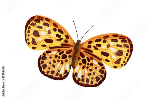 Colorful butterfly, winged insect.Vector graphics.