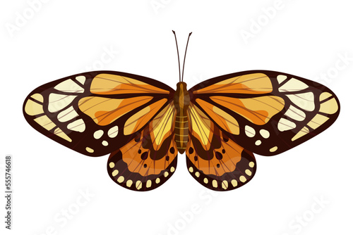 Colorful butterfly, winged insect.Vector graphics.