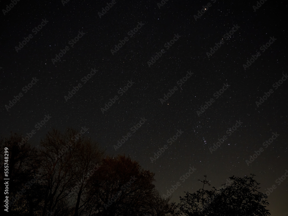 Night Sky with Orion and Gemini Constellations