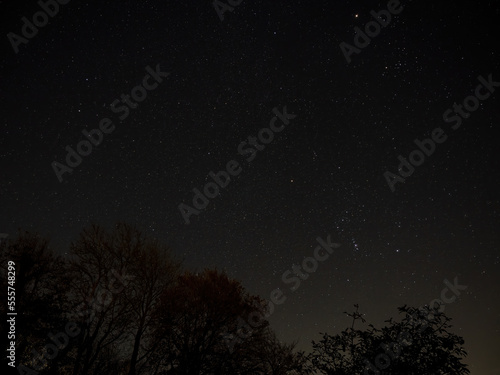 Night Sky with Orion and Gemini Constellations © suerob