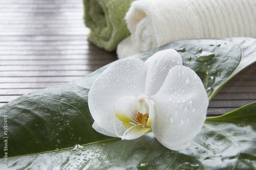 Orchid and Towels Orchid and Towels