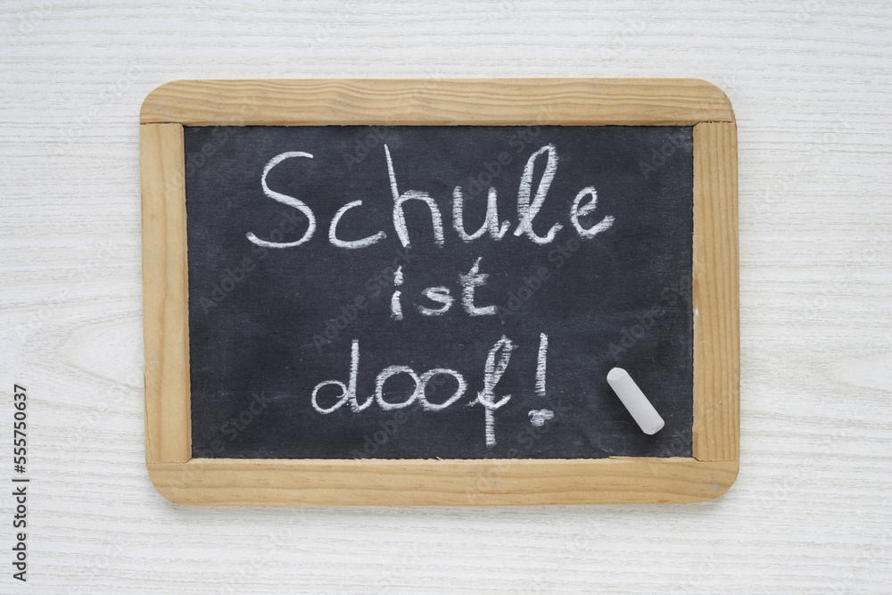 Chalk Board with School is Stupid in German Text Chalk Board with School is Stupid in German Text