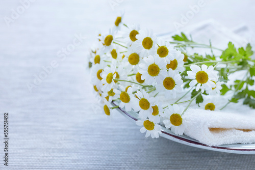 Camomile Flowers photo