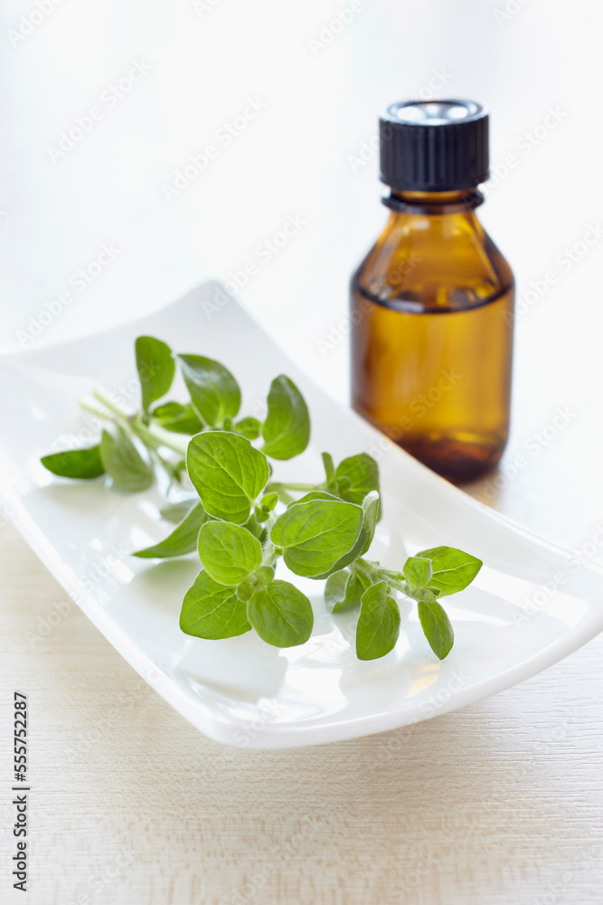 Sprig of oregano, herbs and bottle of aromatic oil for aromatherapy Sprig of oregano, herbs and bottle of aromatic oil for aromatherapy
