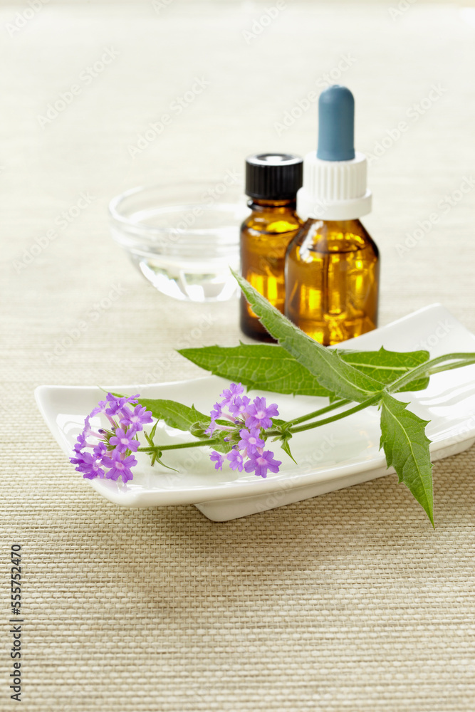 Still life of Bach flowers (Vervain), medicine bottle and bowl of water, Germany Still life of Bach flowers (Vervain), medicine bottle and bowl of water, Germany