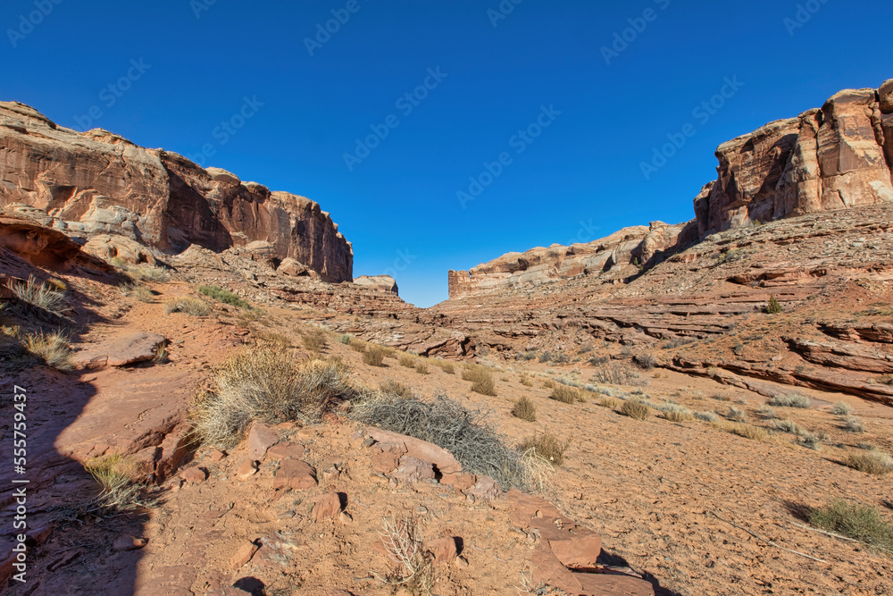 Fototapeta premium Horseshoe Canyon-Canyonlands National Park