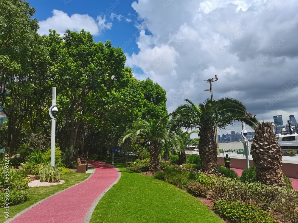 Obraz premium park