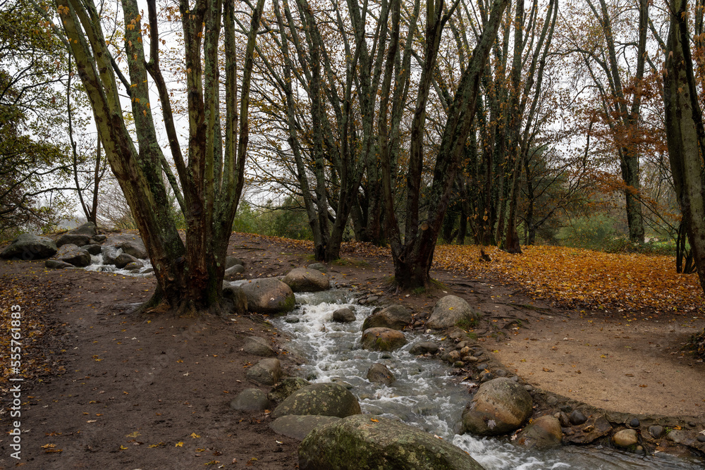 Stream in the Reserve des Barails, ecological park in Bordeaux, France, on an autumn afternoon Stream in the Reserve des Barails, ecological park in Bordeaux, France, on an autumn afternoon