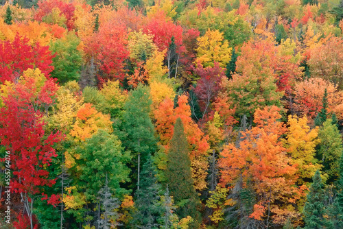 Autumn Colors, Jacquet River, New Brunswick Canada photo