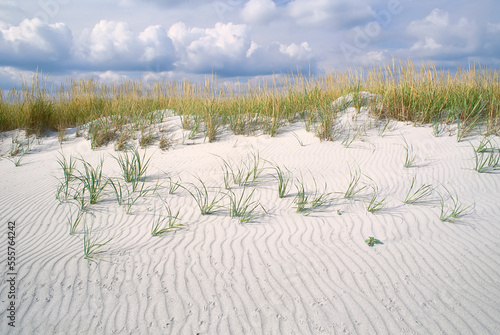 Seaside Adjunct, Kejimkujik National Park, Nova Scotia, Canada