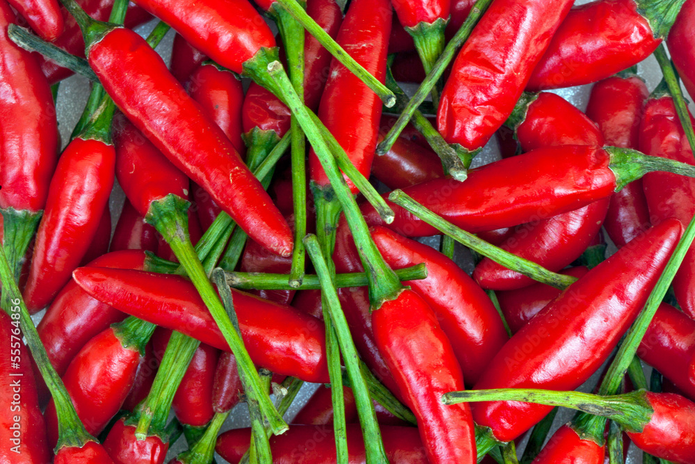 Closeup of stack of Brazilian Red Pepper