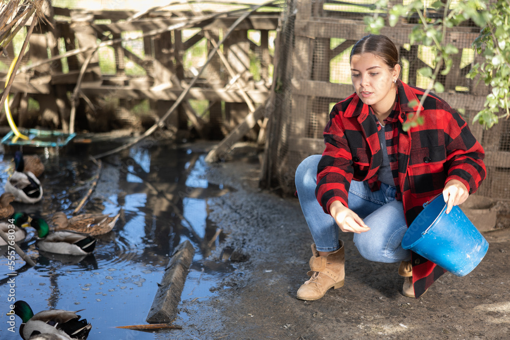 Positive farmer girl in plaid jacket holding bucket and feeding ducks while birds swimming in pond near fence in autumn