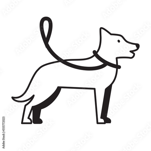 dog leash (ID: 555772023)