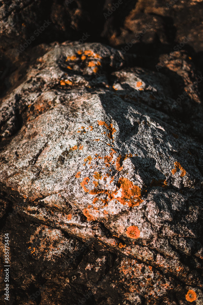 Fototapeta premium Beautiful stone patterns in Norway on a coast