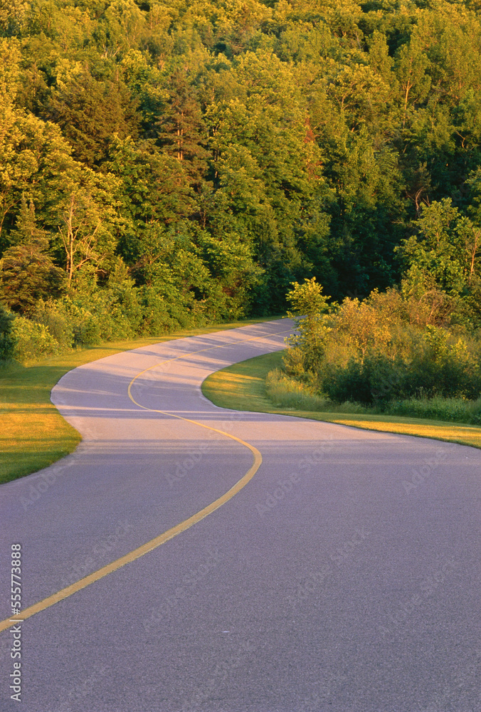 Road and Trees, Gatineau Parkway, Gatineau Park, Quebec, Canada Road and Trees, Gatineau Parkway, Gatineau Park, Quebec, Canada
