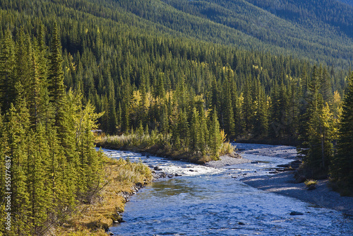 Rapids on River, Sheep River Provincial Park, Kananaskis Country, Alberta, Canada photo