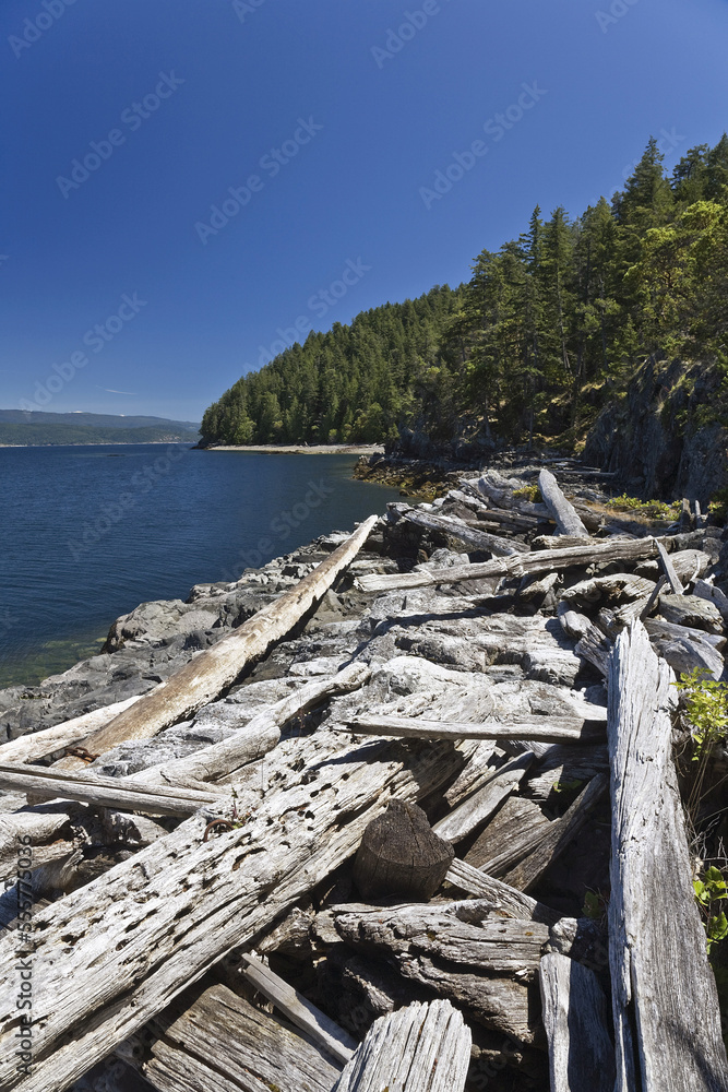 Driftwood on Beach, Cortes Island, British Columbia, Canada Driftwood on Beach, Cortes Island, British Columbia, Canada
