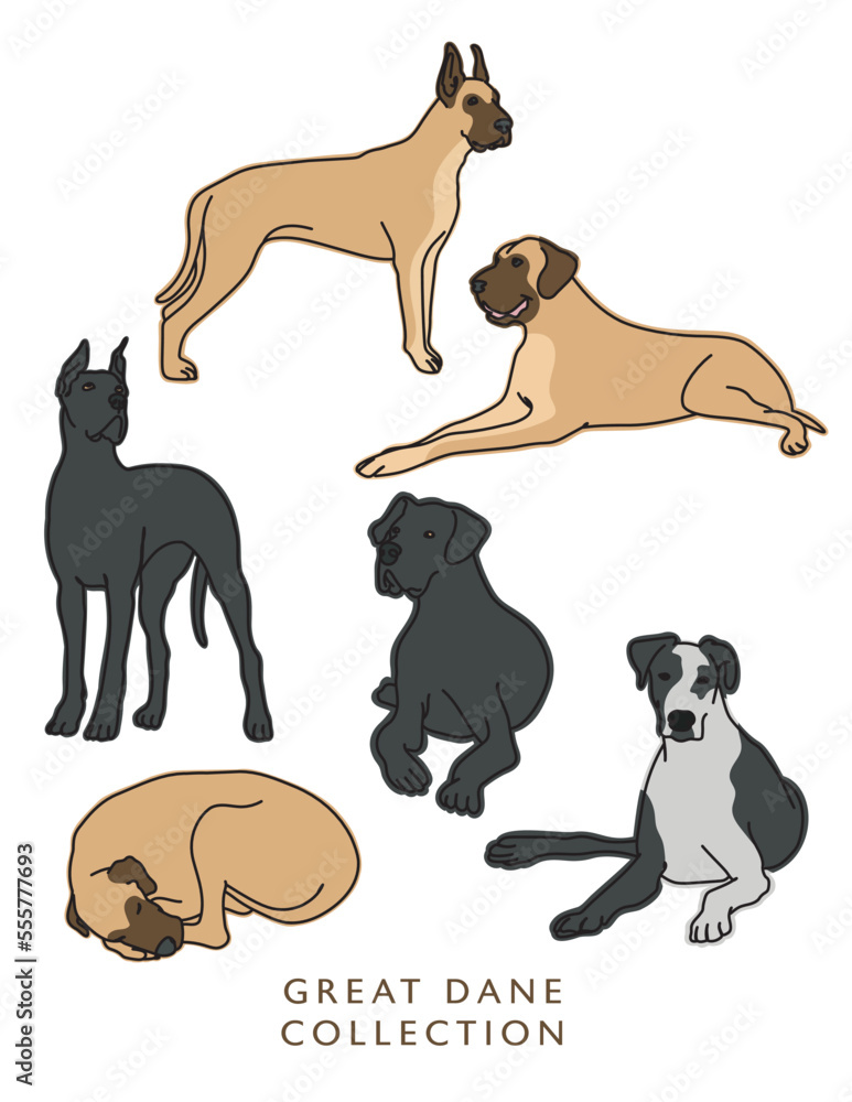 Great Dane Dog Outline Illustrations in Various Poses - obrazy, fototapety, plakaty 