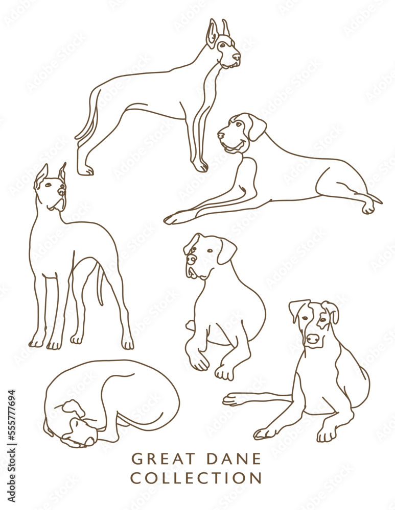 Great Dane Dog Outline Illustrations in Various Poses - obrazy, fototapety, plakaty 