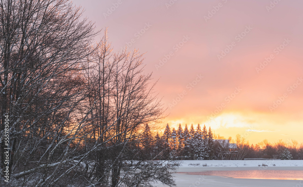 Stunning winter sunrise with pine trees covered in snow in silhouette 